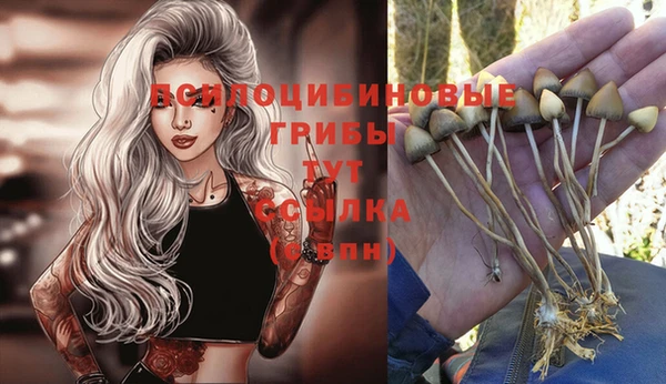 гашиш Арсеньев