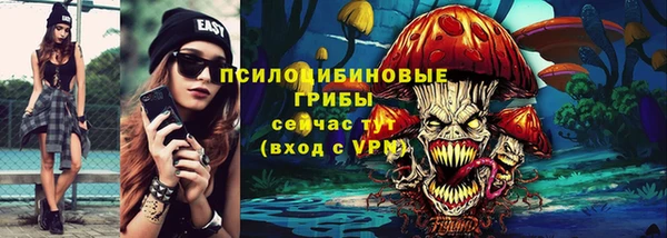 spice Аркадак
