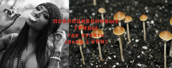 соль ск Армянск
